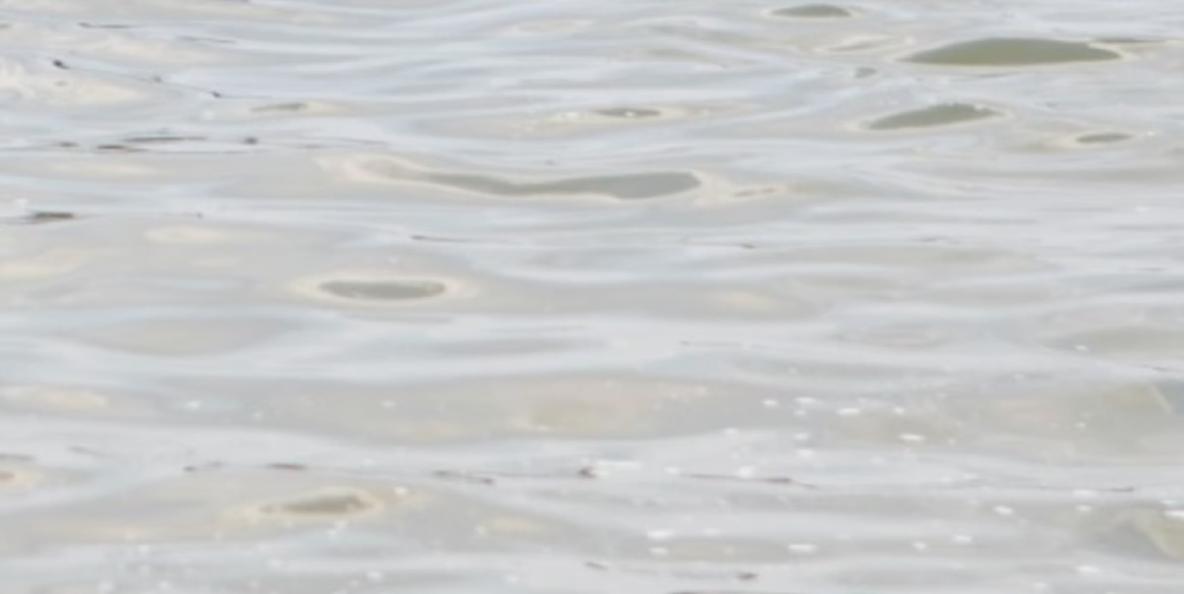 E. coli advisory lifted for Myers Lake, remains for Wabasis Lake