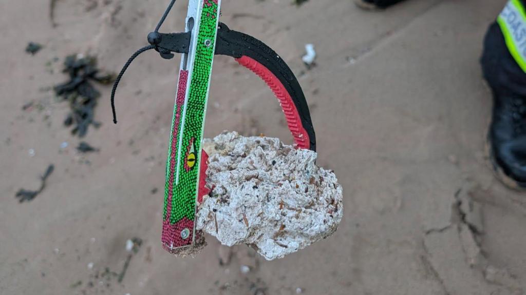 Dog warning as suspected palm oil washes up on beach
