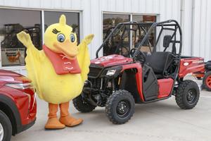 United Way duck sales on track as Duck Draw moves to Friday tailgate