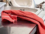 How often should you change your tea towels? Microbiologist finally settles the debate - so, are you doing it enough?