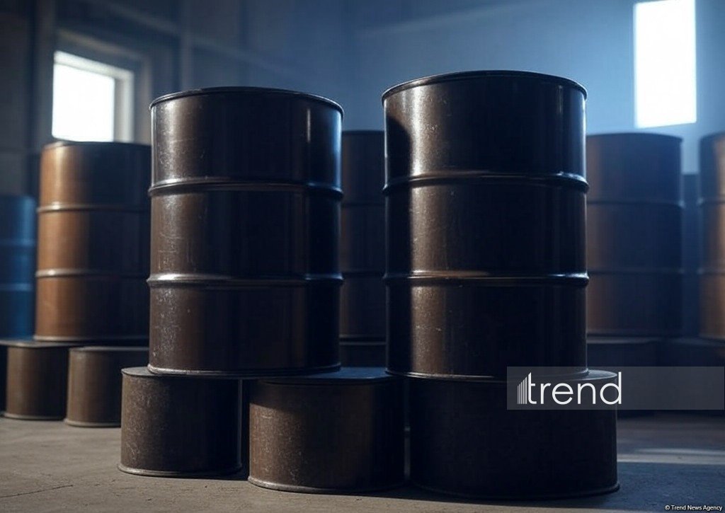Kyrgyzstan strengthens measures to ensure domestic fuel supply