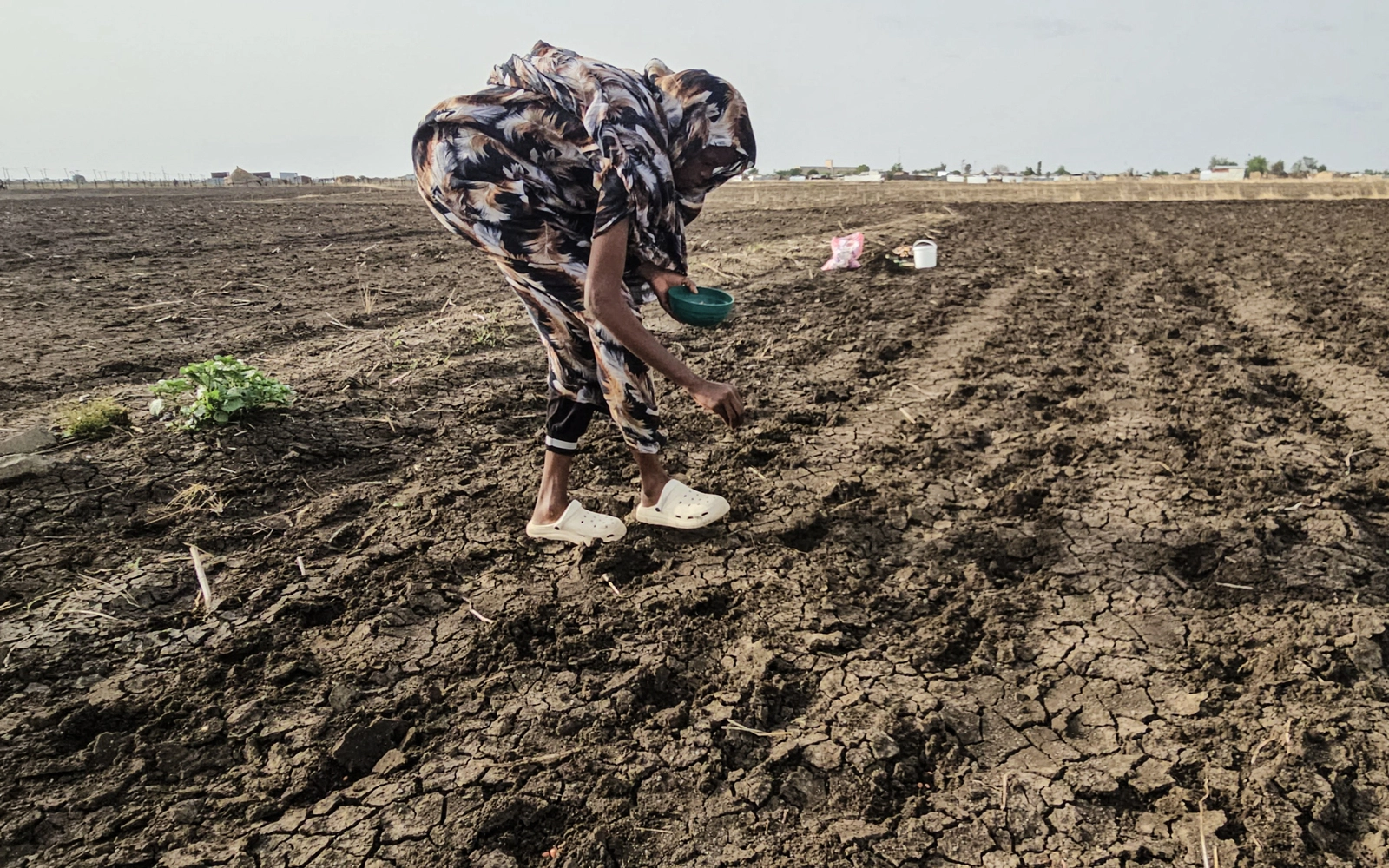 Sudan farms lie barren as El Nino dries up Nile banks