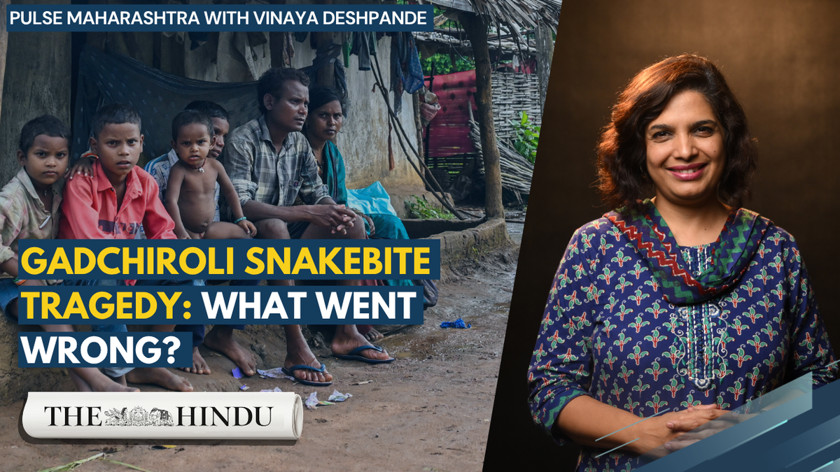 Gadchiroli snakebite tragedy: School, road under scrutiny | Pulse Maharashtra