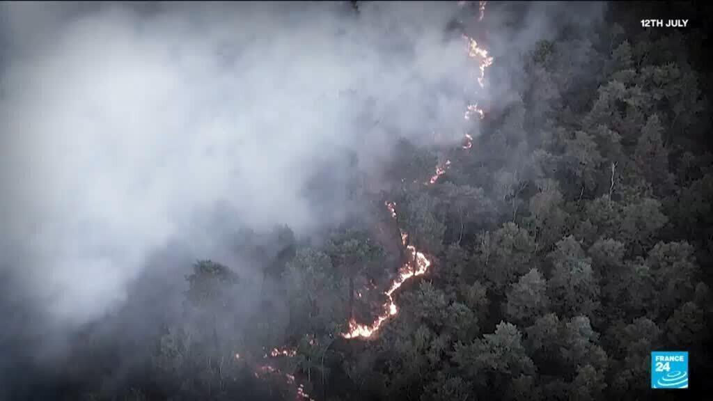 France's Fontainebleau forest reopens one month after wilfire