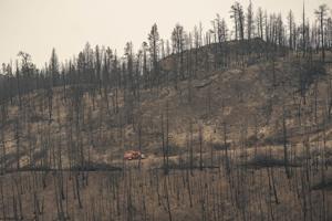 Wildfires expose evacuation gaps for Canadians with disabilities, advocates say