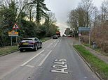 Teen and man in his 20s are dead after three cars involved in Surrey crash: Trio arrested on suspicion of causing death by dangerous driving