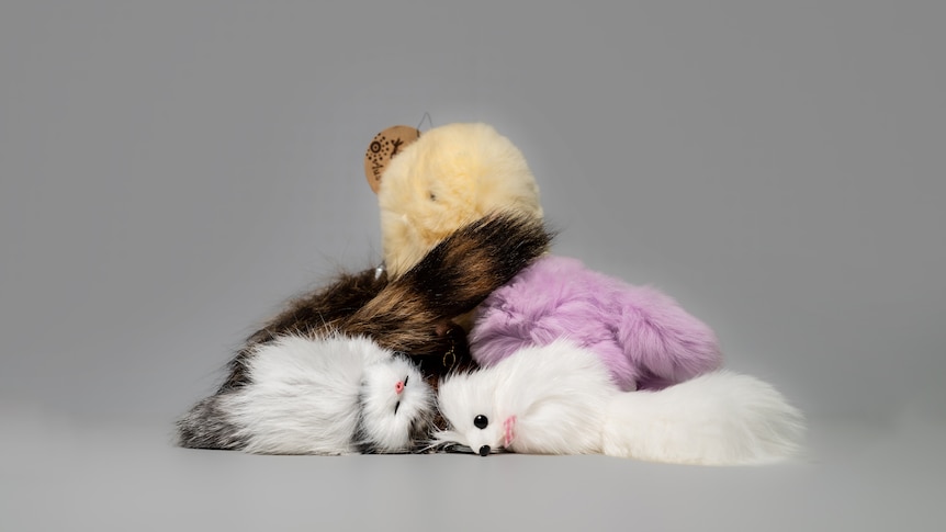 Dog, rabbit and fox fur found in toys and keyrings sold in markets and online