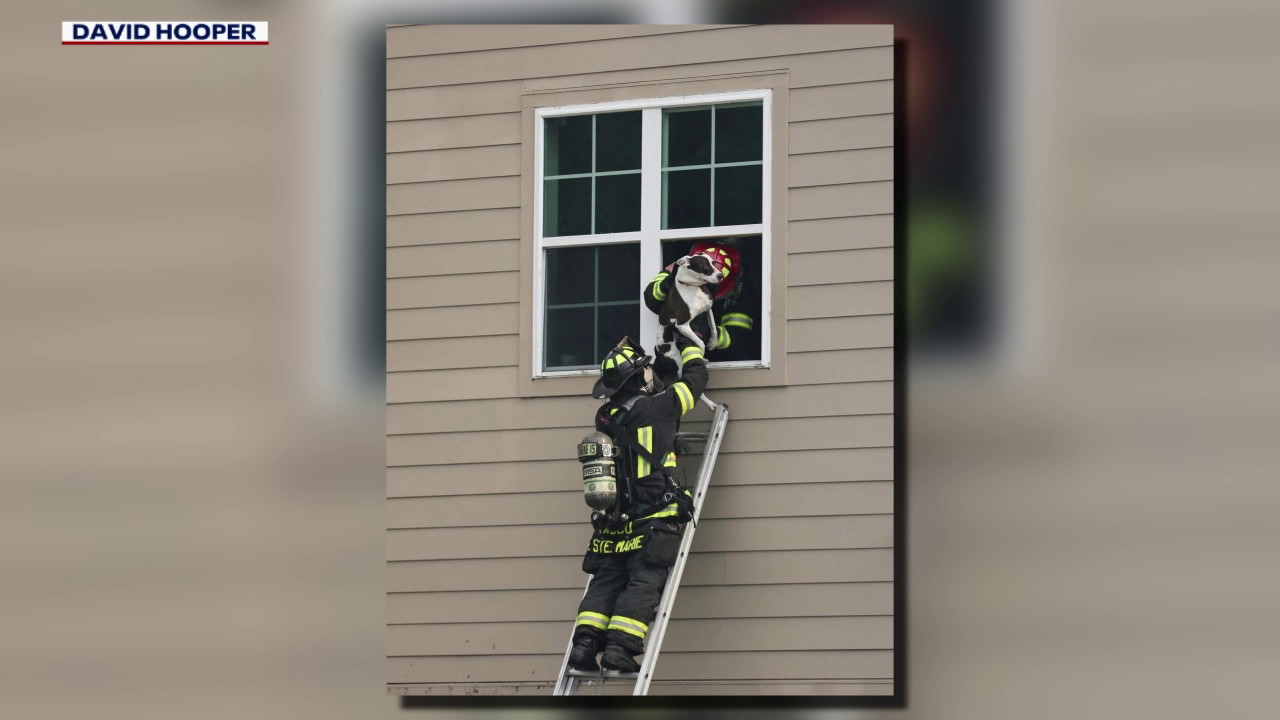 Pasco County mother and son housed after Cobalt Apartment fire