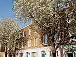Ultra-rich pay up to £40,000 a week to dodge Britain's property taxes